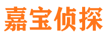 林甸寻人公司